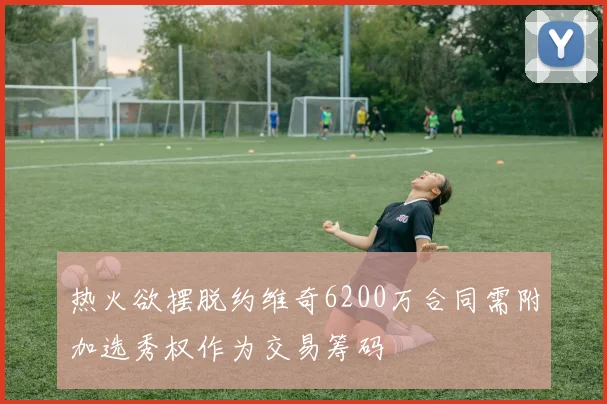 热火欲摆脱约维奇6200万合同需附加选秀权作为交易筹码