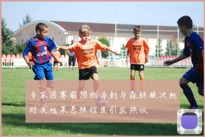 专家团赛前预测马刺与森林狼次轮对决结果悬殊程度引发热议