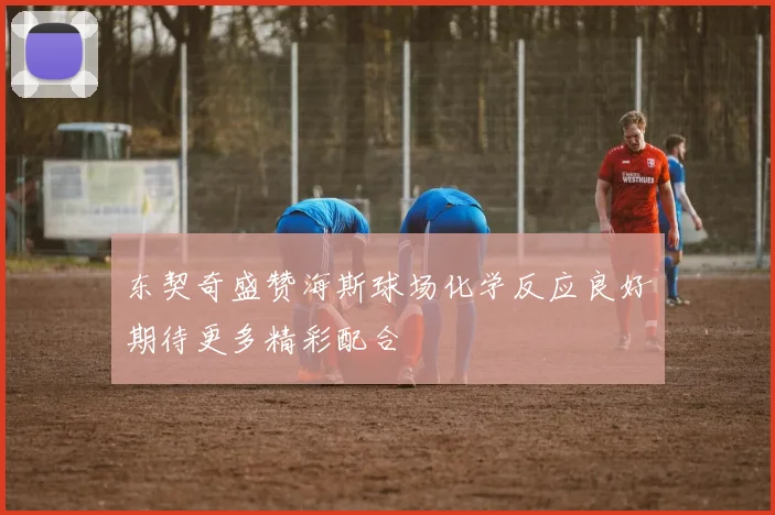 东契奇盛赞海斯球场化学反应良好期待更多精彩配合