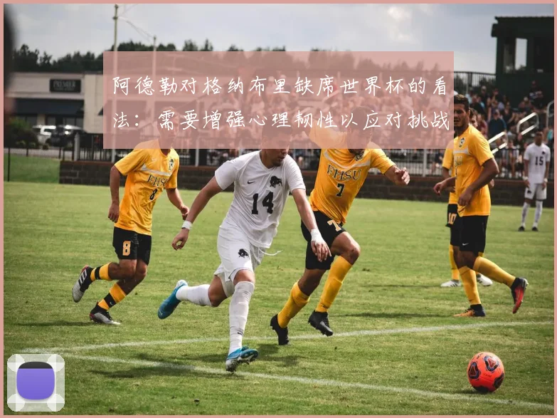 阿德勒对格纳布里缺席世界杯的看法：需要增强心理韧性以应对挑战